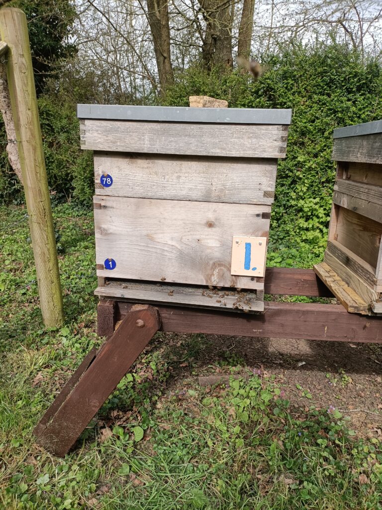 Hive1